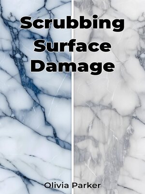 cover image of Scrubbing Surface Damage